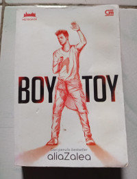 Image of Boy Toy