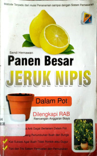 Image of Panen Besar Jeruk Napis