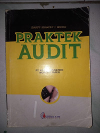 Image of Praktik Audit